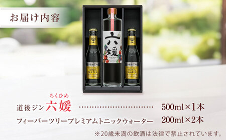【お中元対象】クラフトジン 道後ジン 六媛 500ml×1本・トニック 200ml×2本 酒 BJAI002