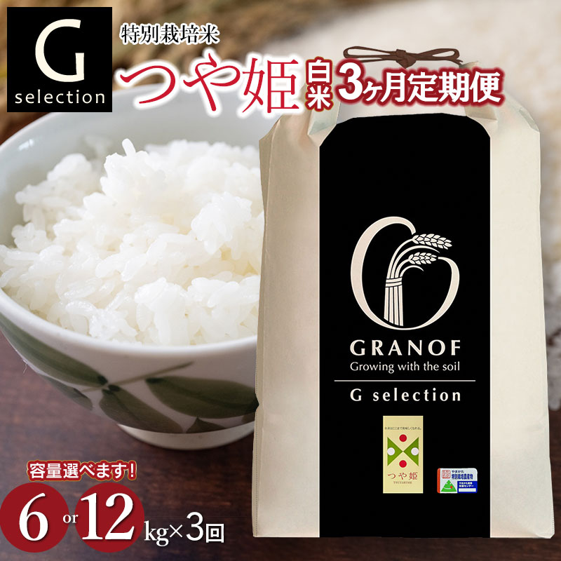 【ふるさと納税】令和7年産【新米】Gセレクション 特別栽培米 つや姫 精米(白米)　3ヶ月定期便（毎月1回中旬発送） 山形県鶴岡産　選べる容量(6kg or 12kg)　株式会社グラノフ