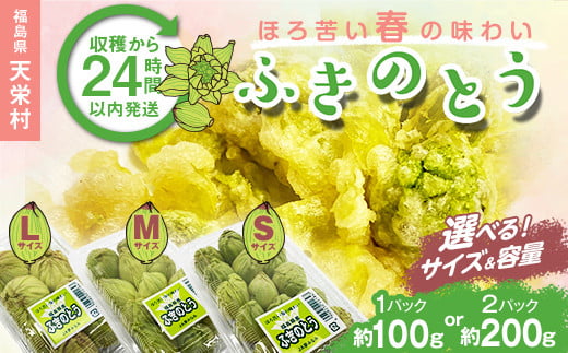 
                  【選べるサイズ・容量】収穫から24時間以内に発送！ほろ苦い春の味わい「ふきのとう」S・M・Lサイズ 1パック100g・2パック200g 野菜 食品 F21T-346var
                