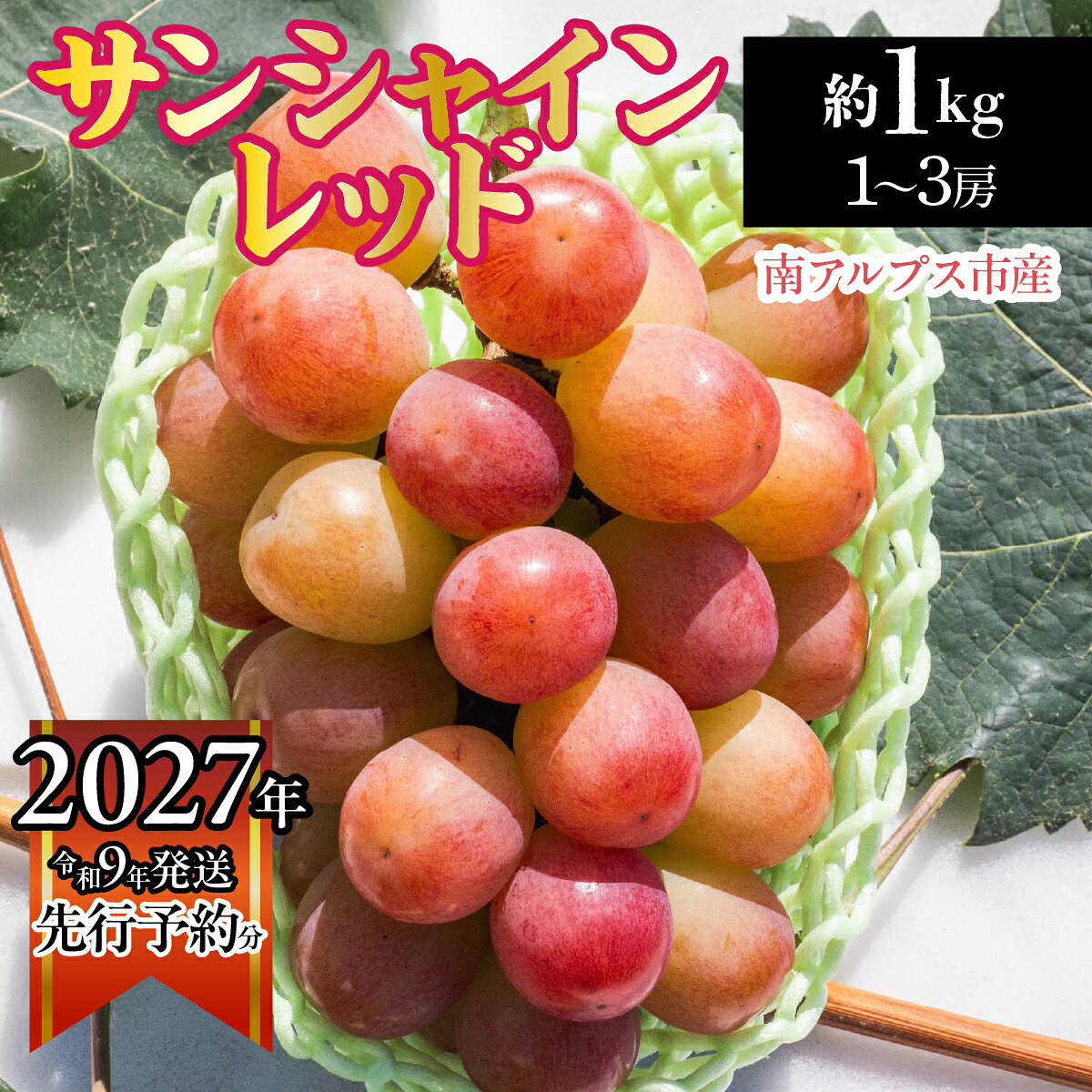 【ふるさと納税】 【2027年発送先行予約】南アルプス市産　サンシャインレッド約1.0kg（1～3房） ふるさと納税 葡萄 ぶどう 果物 フルーツ おすすめ 山梨県 南アルプス市 送料無料 ALPDD020