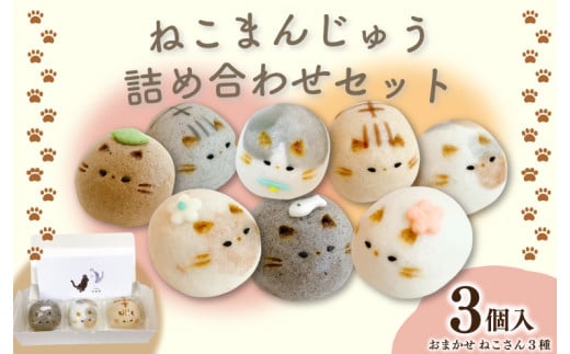 和菓子 上用まんじゅう ねこさん セット 選べる 容量 3個 冷凍便 和菓子 ギフト 贈り物 記念日 徳島県 吉野川市