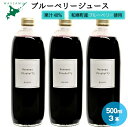 【ふるさと納税】和寒40%果汁ブルーベリー飲料　北海道　ふるさと納税　ブルーベリー　ジュース
