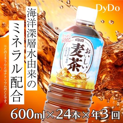 ふるさと納税 室戸市 おいしい麦茶 3か月連続定期 600ml×24本×3回 合計72本 DyDo ダイドー