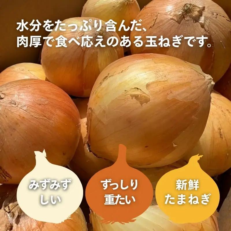 玉ねぎ 5kg 混サイズ たまねぎ