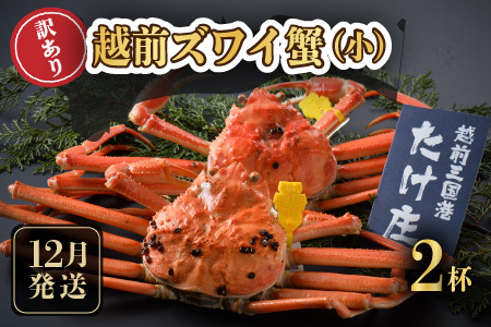 越前蟹 訳あり 茹で 越前ズワイ蟹 (小) 2杯【12月発送分】越前ガニ 冷蔵 [D-1601_12]