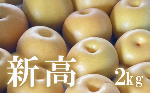 No.1720梨　なし　新高　約2kg　【2025年発送　先行予約】