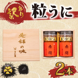 訳あり 赤間うに 2本 うに AB109