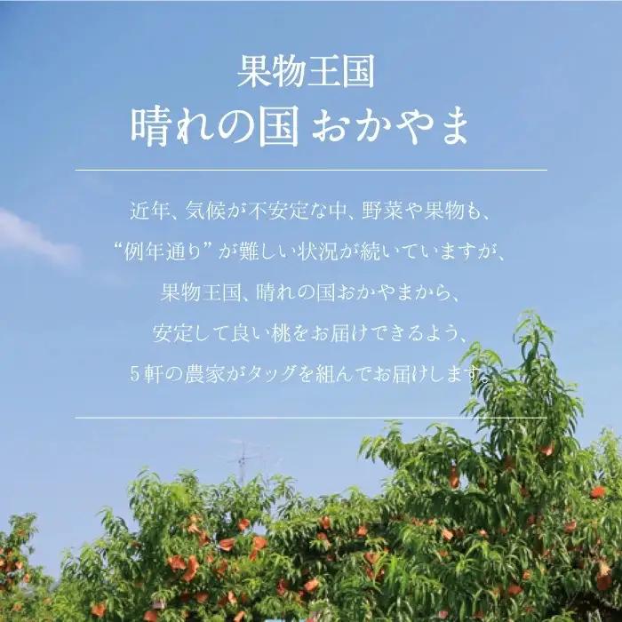 清水白桃 ご自宅用お試しサイズ 1.4kg前後 momo70 【配送不可地域：北海道／沖縄県／離島】 【jujy087-01】