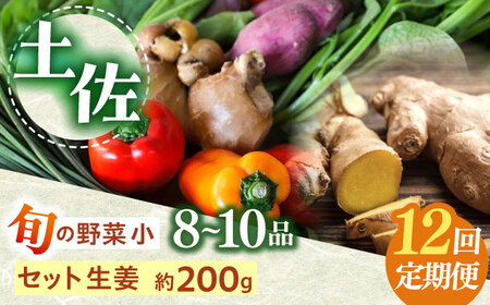 定期便 土佐の太陽をいっぱいに浴びた旬の野菜生姜約200gのセット「小」 (12回配送)【土佐野菜】 [ATBA013]