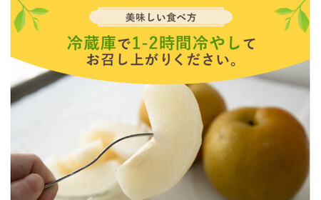 【数量限定 / 夏季限定】 梨（豊水） 約5kg 梨 なし ナシ 日本梨 ほうすい ホウスイ 17-D 【8月下旬～9月上旬発送予定】