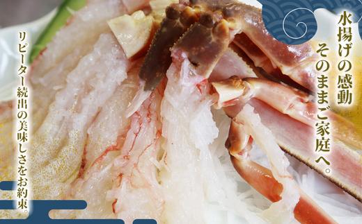 【リピーター絶賛！】 活きの良さが違います。一度食べたら忘れられない松葉ガニの味を、ぜひ今年もご堪能ください。