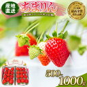 【ふるさと納税】 【 予約受付 】 あまりん DXパック 500g 1000g 選べる容量 選べる発送月 いちご 苺 ストロベリー 産地直送 ご当地 果物 くだもの フルーツ デザート 食品 冷蔵 ロコファーム 埼玉県 羽生市