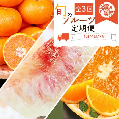 ふるさと納税 紀美野町 【発送月固定定期便】紀州和歌山産旬のフルーツセット(みかん・清見・桃)全3回
