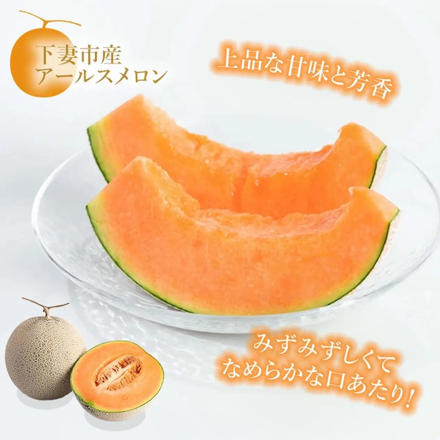 メロン 赤肉 茨城県産 R8年産 アールスメロン 約7.5kg 3～6個