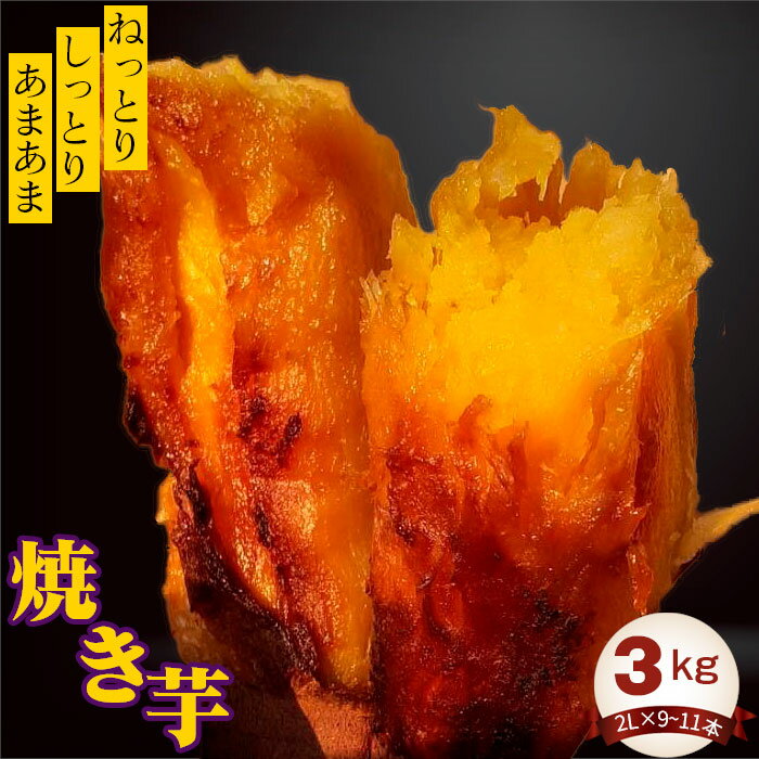 【ふるさと納税】 焼き芋3kg ／ 紅はるか ねっとり しっとり さつまいも 送料無料 茨城県 No.410