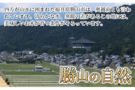 令和5年産　勝山産コシヒカリ　ちゃまごん米　5kg　精米 [A-010001]