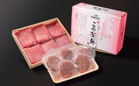 国産牛切り落とし500ｇ＆牛100％ハンバーグ100ｇ×5個　二刀流セット　この華牛　合計1ｋｇ＜1.1-27＞