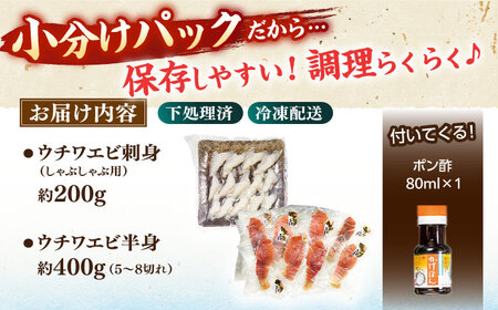 ウチワエビ しゃぶしゃぶ A(刺身200g 半身400g ポン酢80ml)【ひばり】[KAA059]/ 長崎 平戸 魚介類 海老 エビ ウチワエビ 季節限定 ご当地 グルメ 刺身 しゃぶしゃぶ