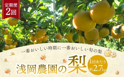 浅岡農園の梨 約2.7kg 梨 なし ナシ くだもの 果物 フルーツ 果実 和梨 豊水 秋月 新高 甘太 大分県 九重町 【2回定期便 2026年9月･10月発送】