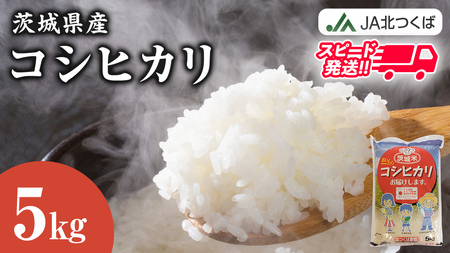 【 JA 北つくば 】 茨城県産 コシヒカリ 5kg 令和5年産 農協 米 お米 白米 コメ こしひかり 茨城県 精米 新生活 応援 [AE026ci]