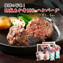 【ふるさと納税】ハンバーグ セット 4個 阿蘇 あか牛 牛肉 100% 2p×2個 肉 お肉 にく 赤牛 配送不可：離島　【錦町】