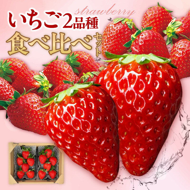 【ふるさと納税】いちご 2品種 食べ比べ セット【申込終了：2026年3月末】 ◆ 期間限定 ◆ 苺 フルーツ 完熟苺 紅ほっぺ 章姫 かおり野 おいCべりー 農園 あきひめ イチゴ 知多市 旬の果物 送料無料