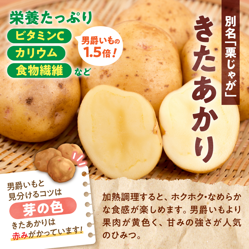 【先行予約】2026年9月下旬発送 北海道産 じゃがいも きたあかり 5kg 別名「栗じゃが」 甘くておいしい ジャガイモ 芋 いも 秋野菜 季節の野菜 直送農場 北海道雨竜町産 サイズ混同 野菜 U