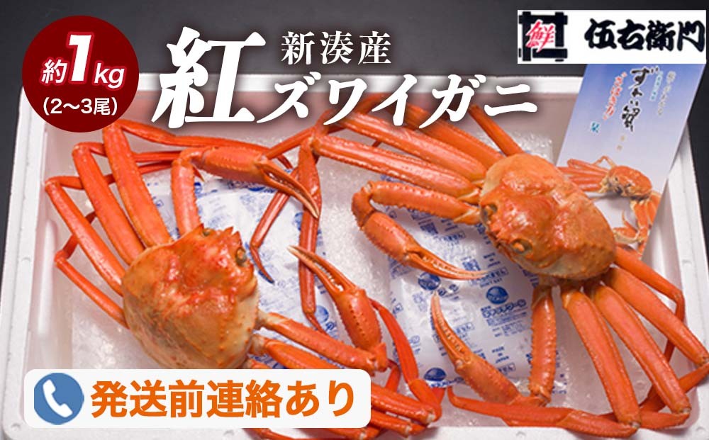 【伍右衛門】新湊産紅ズワイガニ約1kg（2～3尾）
