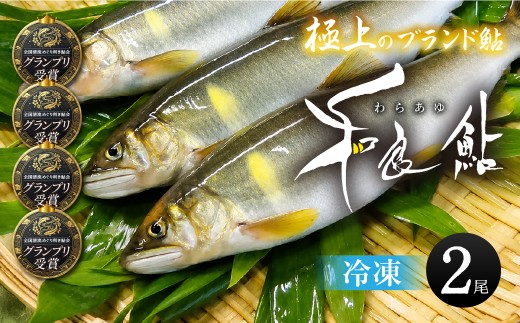 極上ブランド鮎「和良鮎」2尾セット 冷凍 鮎 あゆ アユ 魚 さかな 川魚 河魚 塩焼き 贈答 ブランド 貴重 希少 ギフト お中元 BBQ バーベキュー 天然 わら わら鮎 活〆 大きい 大 サイズ 尾数 セット 詰め合わせ 選べる 岐阜県 郡上市
