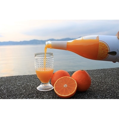 ホリ田ヤの熟選果肉搾り ブラッドオレンジ・まどんな720ml　各1本セット【LC01220】