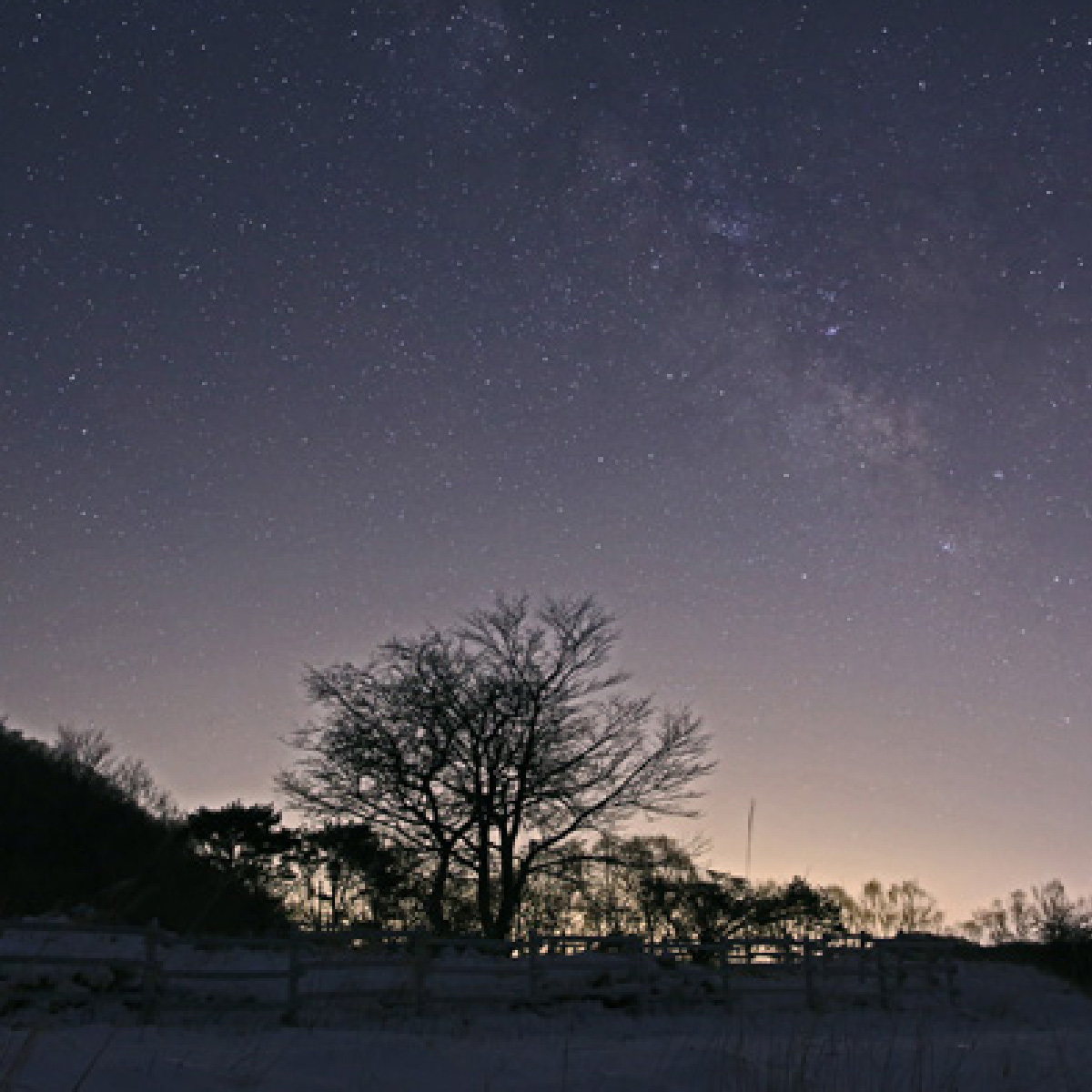 ポータブル赤道儀 ビクセン 星空雲台ポラリエ(WT)  | 埼玉県 所沢市  望遠鏡 天体 天体望遠鏡 天体観察 月 月面 星 星空 星雲 星団 星座 宇宙 天文 趣味 宙 宙ガール 人気 おすすめ 