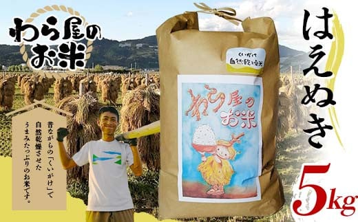 【わら屋のお米】 令和7年産 特別栽培米 はえぬき 5kg 『おがわ藁農園』 米 白米 精米 ご飯 農家直送 山形県 南陽市 [2067]
