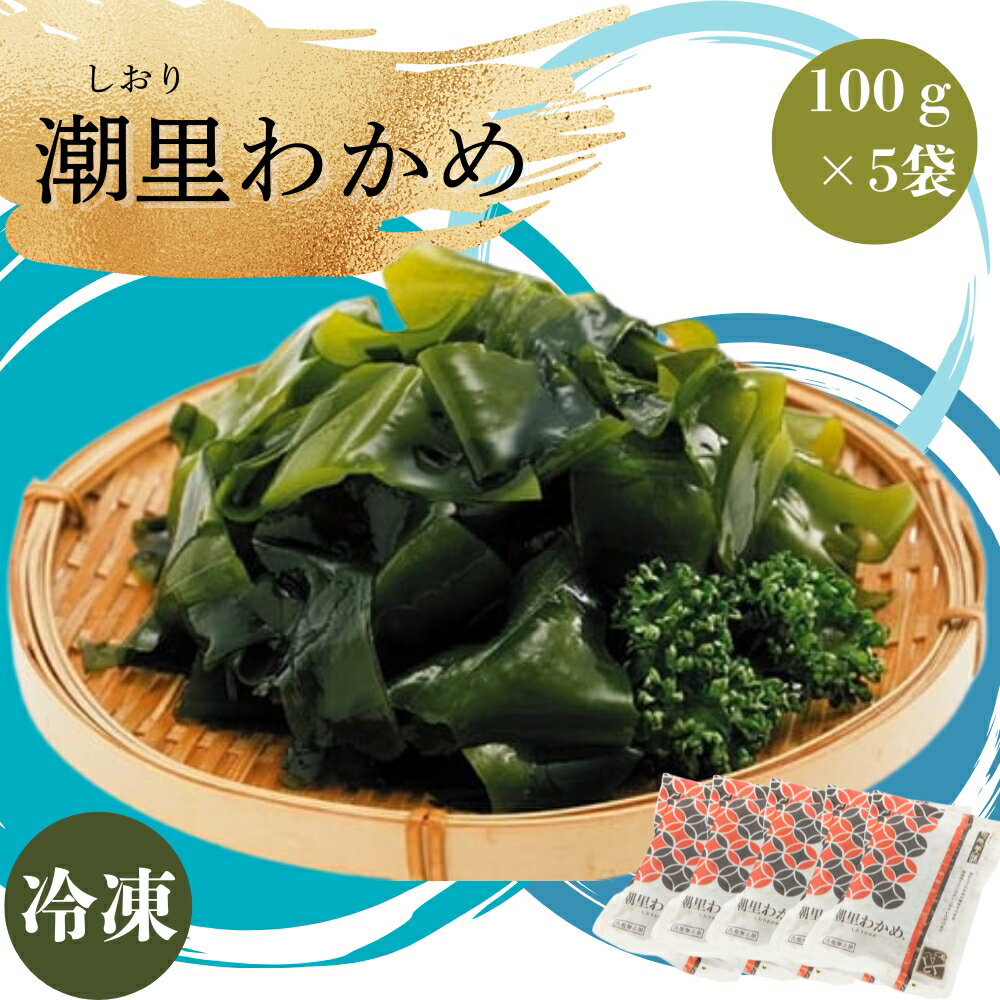 【ふるさと納税】潮里わかめ 500g（100g×5袋）｜ 鳴門わかめ ワカメ 国産 冷凍 小分け カット 塩分無添加 ギフト 贈り物