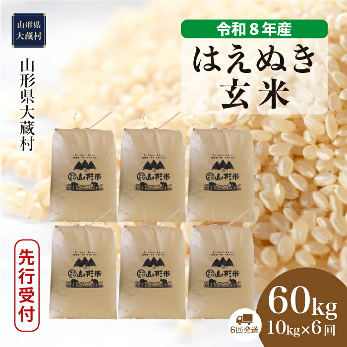 【ふるさと納税】＜令和8年産米先行受付＞ 大蔵村 はえぬき ＜玄米＞60kg定期便 （10kg×6回発送）