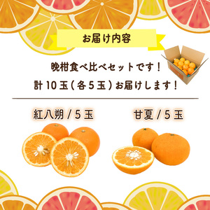 【先行予約】晩柑食べ比べセット～紅八朔&甘夏～(各5玉) | 柑橘柑橘柑橘柑橘柑橘 【KK330】
