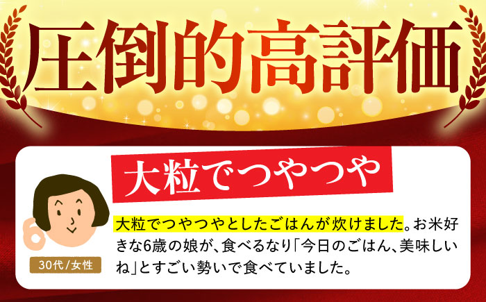 【全3回定期便】さがびより 白米 10kg（5kg×2袋）【五つ星お米マイスター厳選】特A米 特A評価 [HBL041]
