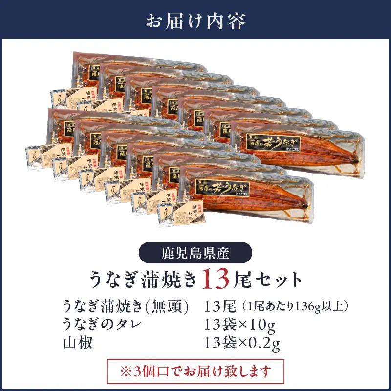 2124 鹿児島県産 うなぎ蒲焼 13尾 KN058-002-13 魚 冷凍 鰻