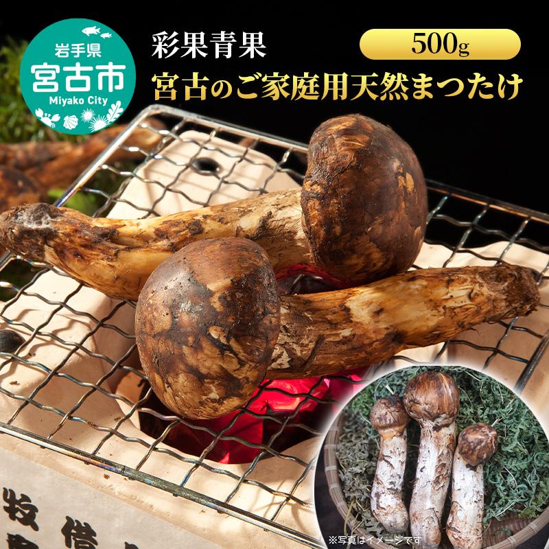 宮古のご家庭用天然まつたけ500ｇ 宮古産 まつたけ 天然まつたけ きのこ 野菜 家庭用