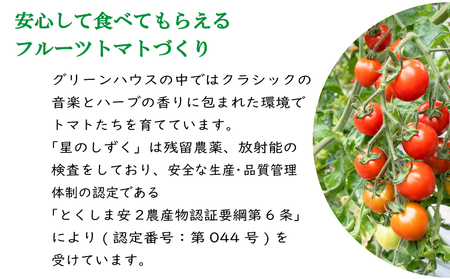 定期便 3回 フルーツトマト 700g 星のしずく 【 トマト 】