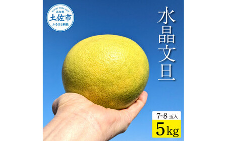 土佐市産 水晶文旦 約5kg (7～8玉） 高知県土佐市 【土佐労働者協同組合】 [BQBU004]