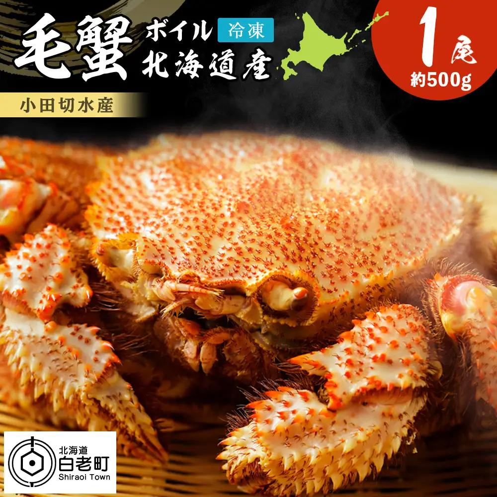 毛がに 500g〈小田切水産〉 AM129