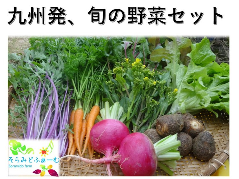 
旬のお野菜8品詰め合わせ
