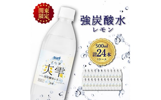 ＜毎月定期便＞＜関東のみお届け＞ 強 炭酸水レモン 500ml 24本 計12L ソーダ国産全12回【4055698】