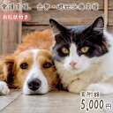 【ふるさと納税】愛護支援、去勢・避妊治療支援 5000円 [Animal Care Salvation 福岡県 筑紫野市 21760768] 動物 ペット 愛護 TNR 保護 動物福祉 保護施設 里親 犬 猫 イヌ ネコ 動物愛護