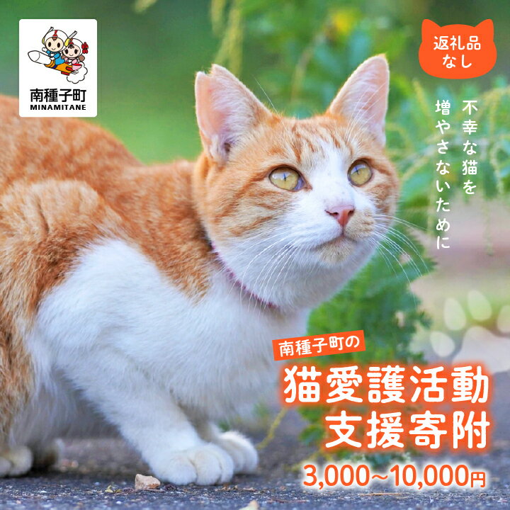 【ふるさと納税】 《返礼品なし》 猫愛護活動支援 3,000円〜10,000円 猫ちゃん 猫 ねこ 動物 保護 愛護 保護活動 応援 支援 寄付 南種子町 鹿児島 かごしま 送料無料 【南種子町猫の適正飼養を推進する会】