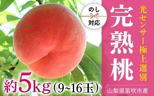 ＜25年発送先行予約＞笛吹市産こだわりの桃 約5.0kg (9～16玉) 常温配送 090-011  ｜もも 桃 発送 丸章青果 糖度センサー 高糖度 山梨 笛吹市 一宮町 桃 ピーチ 果物 フルーツ 新鮮 旬 発送 5.0kg 5.0キロ 5キロ 国産 もも 笛吹市 桃 もも 山梨県笛吹市 果物 ピーチ  朝採り 朝どり モモ 先行 5kg 白桃系｜