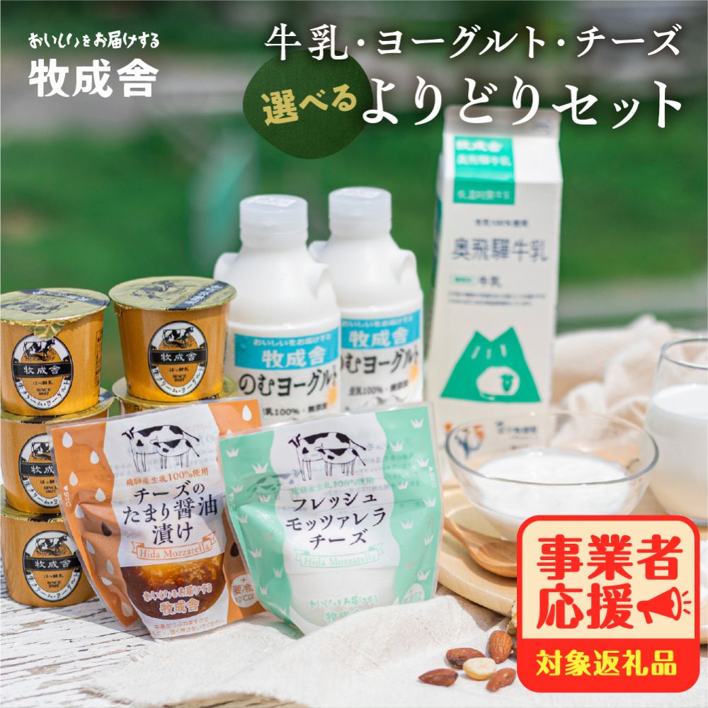 牧成舎 牛乳 ヨーグルト チーズ よりどり6種セット 飛騨産生乳で作ったこだわりの乳製品