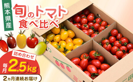 【全2回定期便】トマト ミディトマト 2.5kg トマト トマト トマト トマト トマト [YDE008]