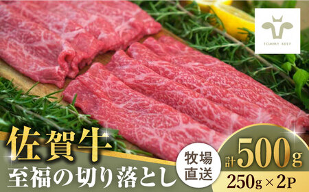 【牧場直送】佐賀牛切り落とし 計500g（250g×2袋）/ 佐賀牛 牛肉 切り落とし ロース モモ カタ バラ 赤身 すき焼き しゃぶしゃぶ 小分け / 佐賀県 / 有限会社佐賀セントラル牧場 [41ASAA017]