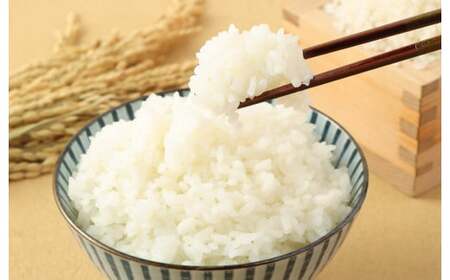 【令和6年産】 熊本県産森のくまさん無洗米 7kg +お米のお菓子 サクサクキャラポン 60g×1袋